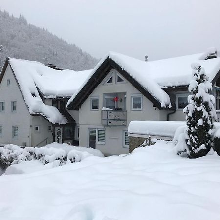 Ferienwohnung Ella, 95Qm, Terrasse トートナウ エクステリア 写真